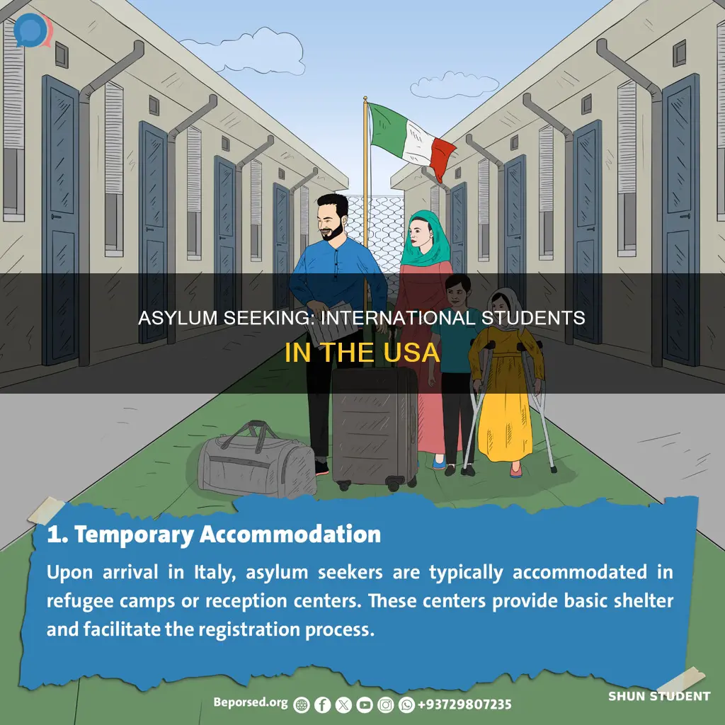 what happen if international student apply asylum in usa
