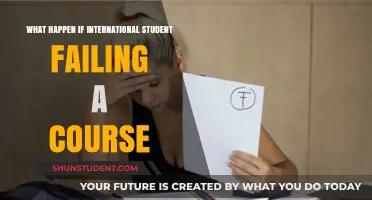 Failing a Course: What's Next for International Students?