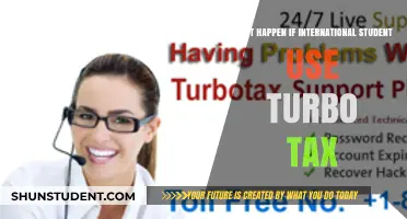 Turbo Tax for International Students: What Could Go Wrong?