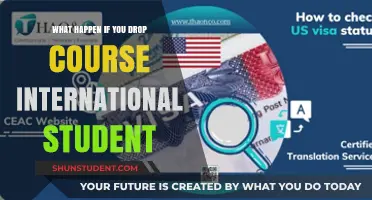 International Student Course Drop: What are the Consequences?