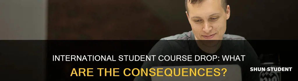 what happen if you drop course international student