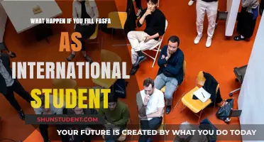 International Students: FAFSA Filing and its Consequences