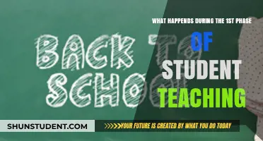 Unveiling the First Phase: A Student Teacher's Journey Begins