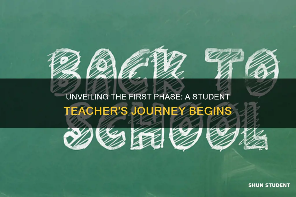 what happends during the 1st phase of student teaching