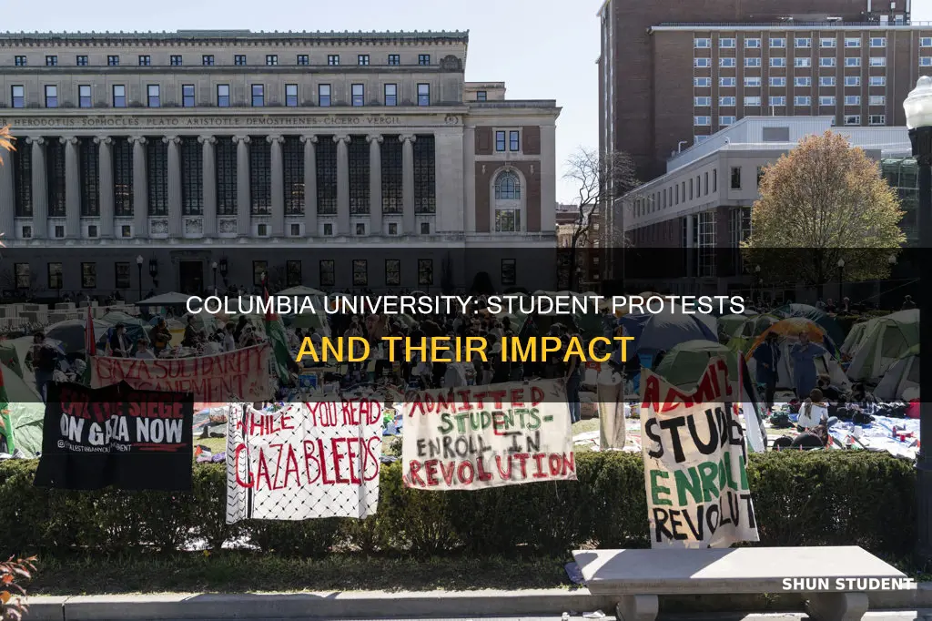 what happened at columbia university that demonstrated student protest