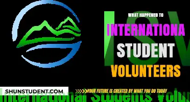 Volunteering Abroad: Where Did All the Students Go?