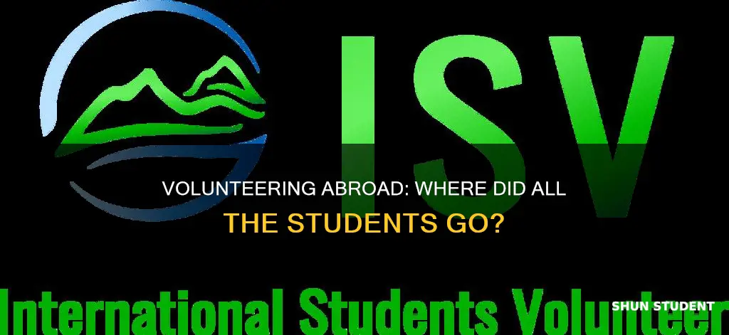 what happened to international student volunteers