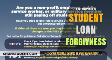 Student Loan Forgiveness: What Happened to the Promised Relief?