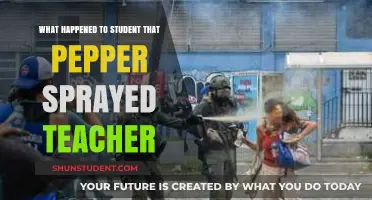 Student Pepper Sprays Teacher: Consequences and Aftermath Explained
