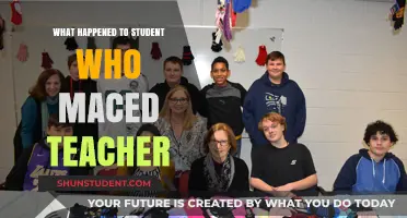 Student Maced Teacher: Consequences and Aftermath of a Shocking Incident