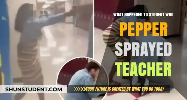 Student Pepper Sprays Teacher: Consequences and Aftermath Explained