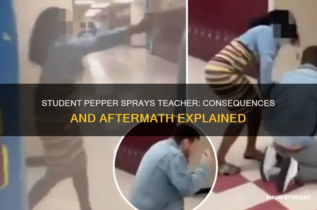 what happened to student who pepper sprayed teacher