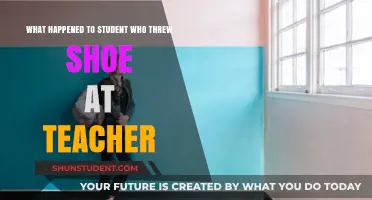 Shoe-Throwing Student: Consequences and Aftermath of Classroom Disruption