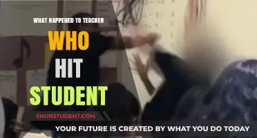 Teacher Hits Student: Consequences and Aftermath of Classroom Violence