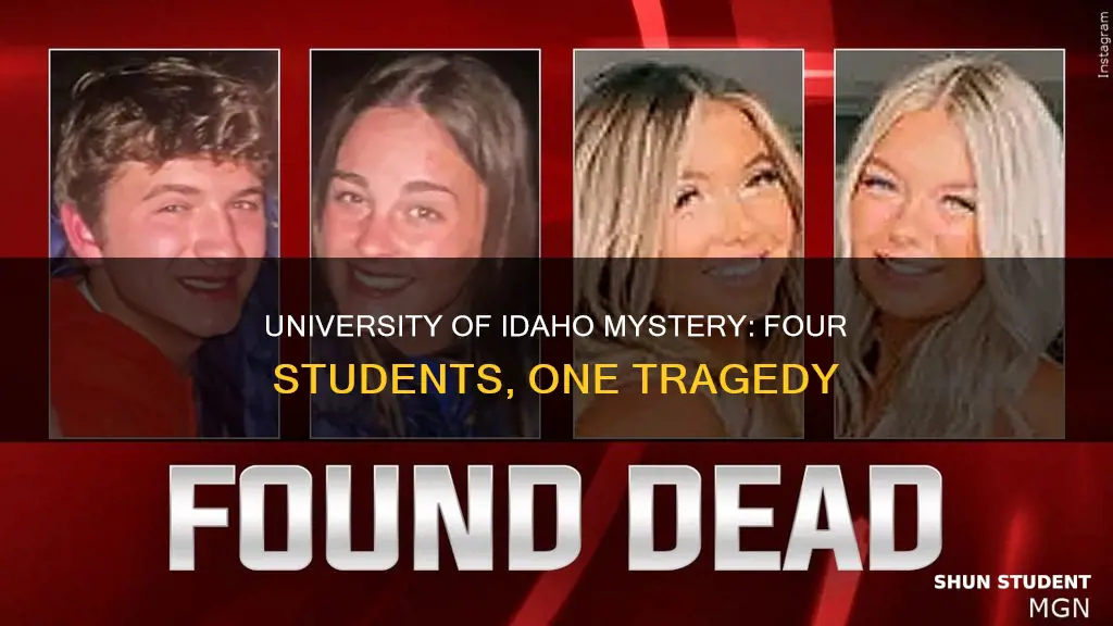 what happened to the 4 university of idaho students