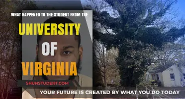 The University of Virginia Student: A Troubling Mystery