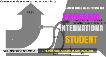 Life After a PhD: An International Student's Guide