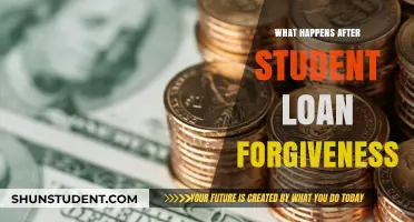 Life After Loan Forgiveness: Navigating Finances and Future Opportunities