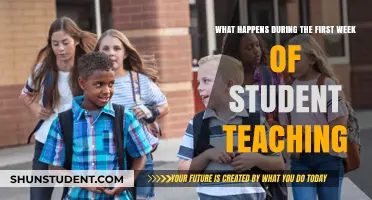 Navigating the Classroom: Insights from the First Week of Student Teaching