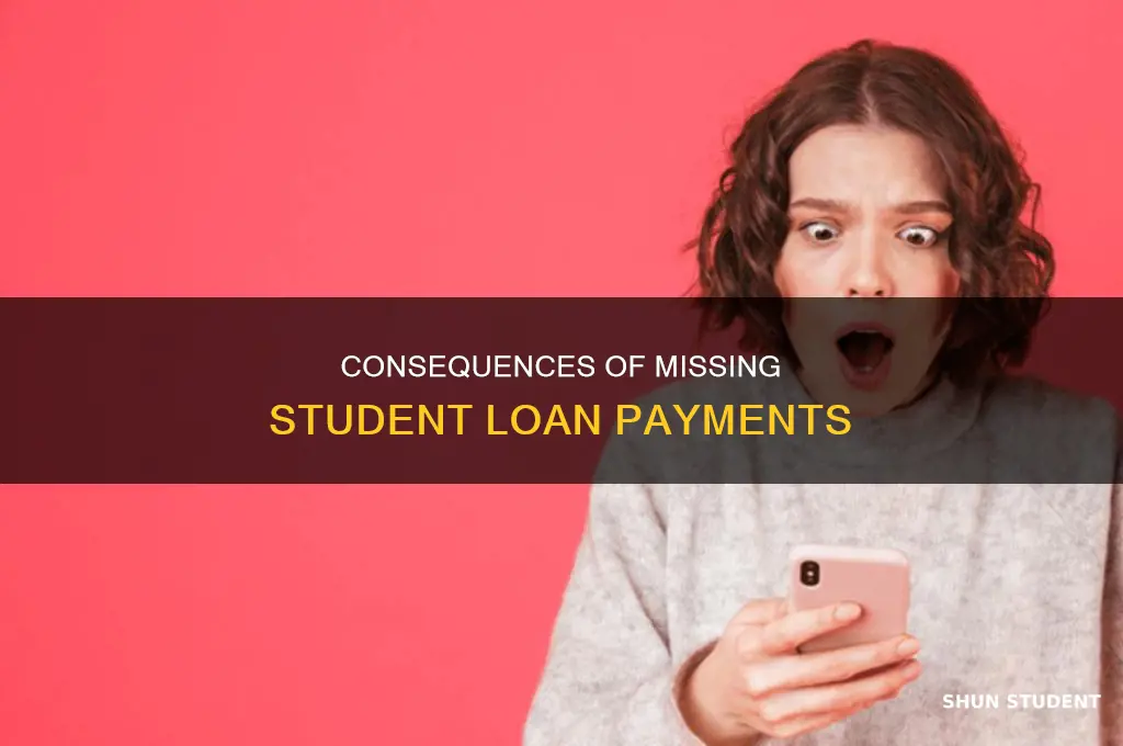 what happens if 2 days late on paying student loan