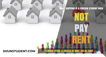 Foreign Students and Rent: What Are the Consequences?