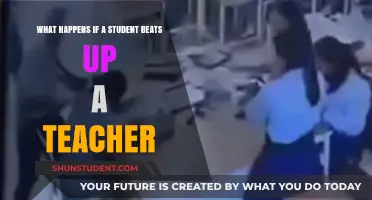 Student Assaults Teacher: Legal Consequences and School Safety Concerns
