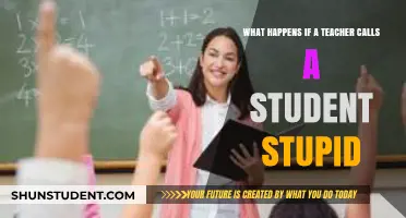 The Impact of a Teacher Calling a Student Stupid: Consequences and Solutions
