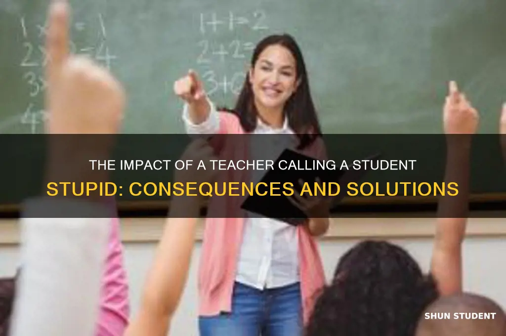 what happens if a teacher calls a student stupid