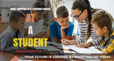 Teacher Cursing at Students: Consequences, Impact, and Professional Boundaries
