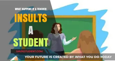 Teacher Insults: Impact, Consequences, and Building a Respectful Classroom