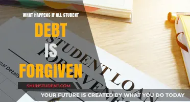 Student Debt Forgiveness: Economic Impact and Societal Transformation Explored
