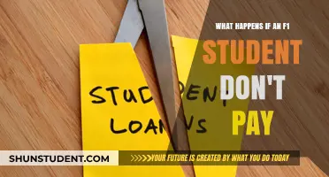 F1 Students: Consequences of Non-Payment