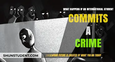 International Students and Crime: What Are the Consequences?