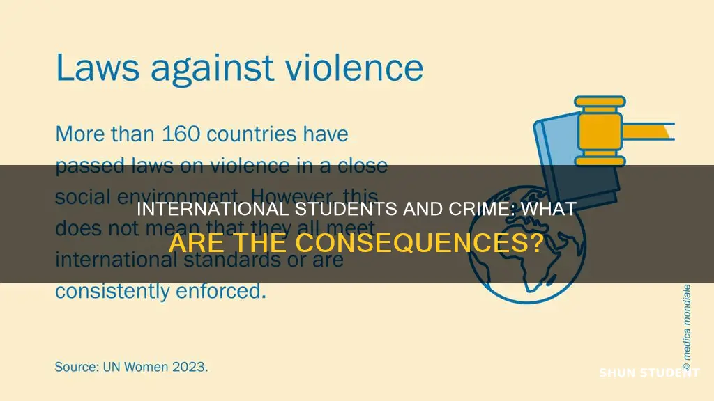 what happens if an international student commits a crime