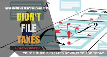Understanding Tax Compliance for International Students
