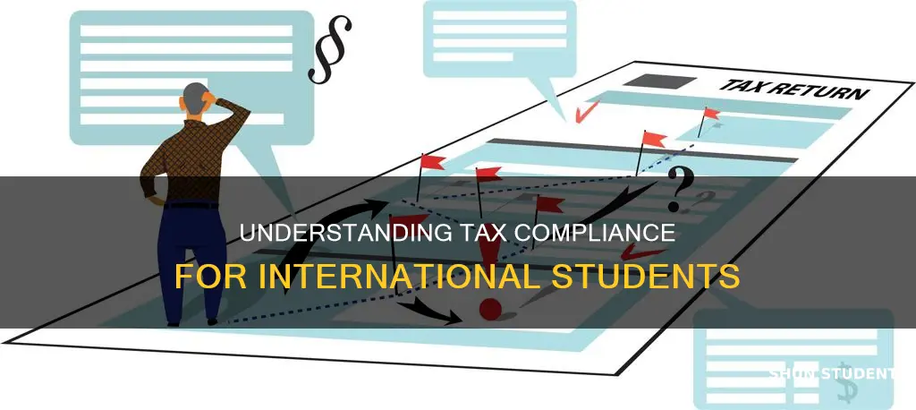 what happens if an international student didn