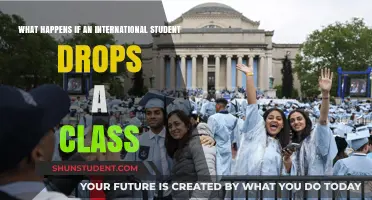 International Students: Dropping Classes and Potential Consequences