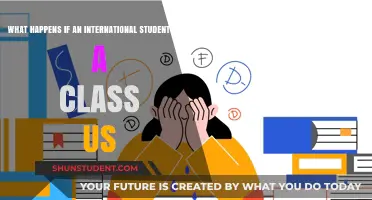 Consequences of Failing a Class as an International Student