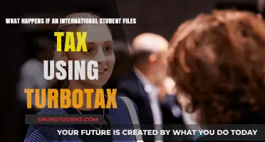 Filing Taxes: TurboTax Guide for International Students