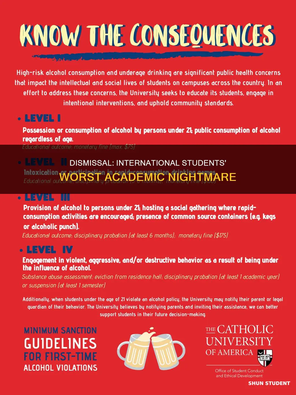 what happens if an international student get dismissed