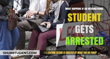 International Students and Arrest: What Are the Consequences?