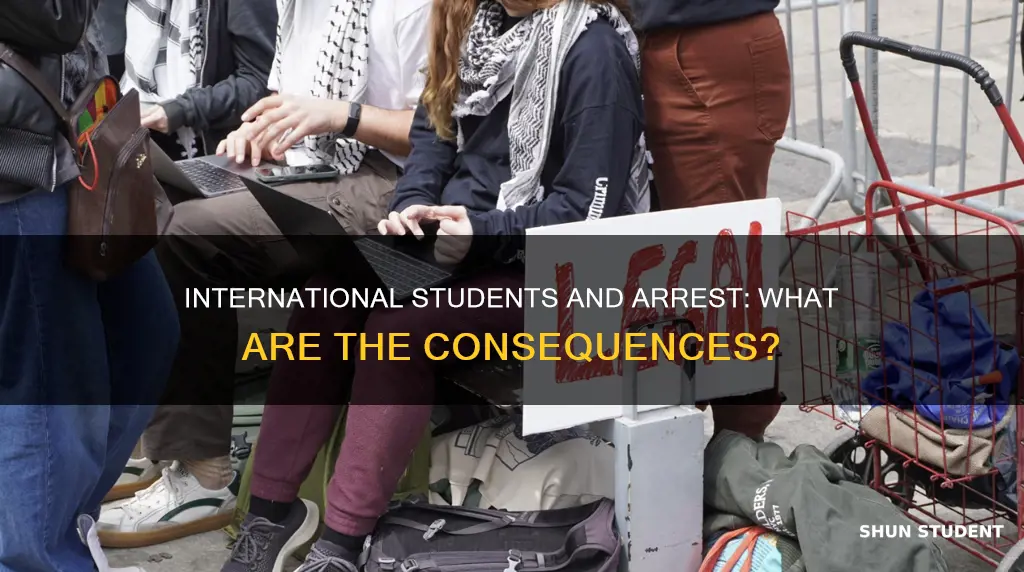 what happens if an international student gets arrested