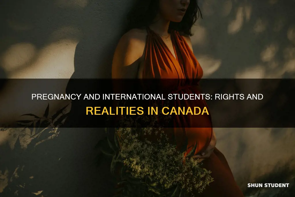 what happens if an international student gets pregnant in canada