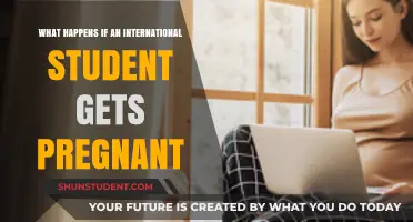 Pregnancy and International Students: What Are the Implications?