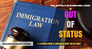 Consequences of Losing Student Status in a Foreign Country