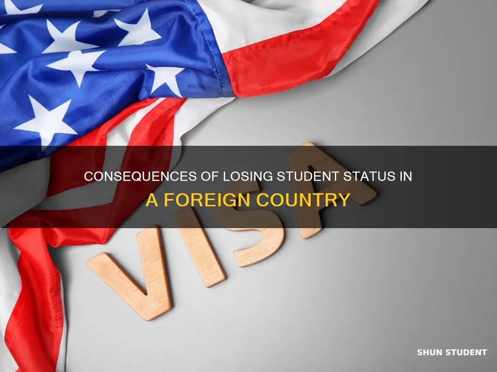 what happens if an international student is out of status