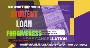Applying Twice for Student Loan Forgiveness: Consequences and Risks Explained