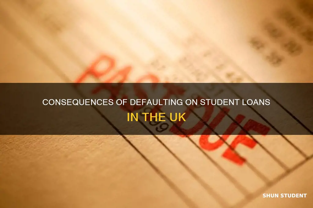 what happens if i don t pay student loans uk