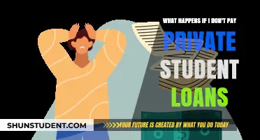 Consequences of Defaulting on Private Student Loans