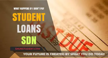 Student Loans: Default and the Dire Consequences